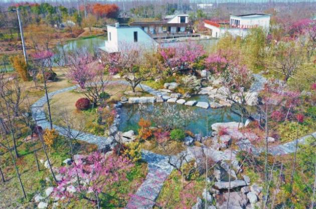秋日限定团建|上海周边秋游方案,治愈职场疲惫,聚力同行!