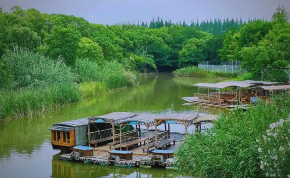 秋日限定团建|上海周边秋游方案,治愈职场疲惫,聚力同行!