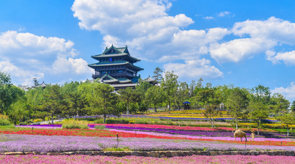 秋日限定|北京及周边企业红叶秋游团建方案