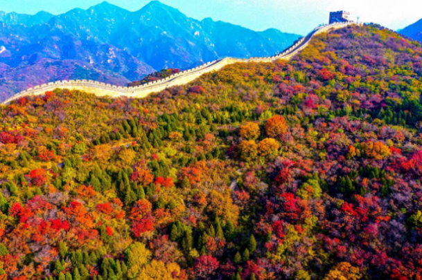 秋日限定|北京及周边企业红叶秋游团建方案