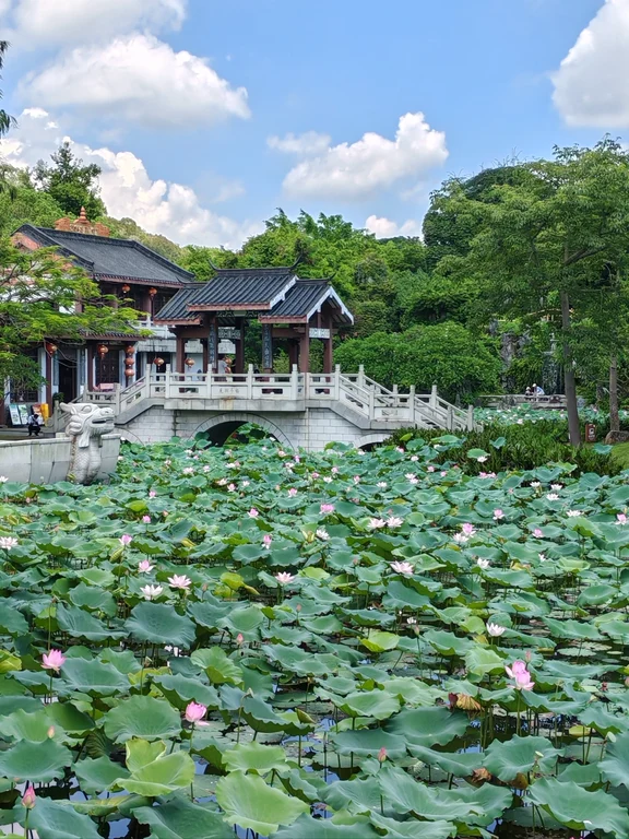 深圳周边秋日出游攻略