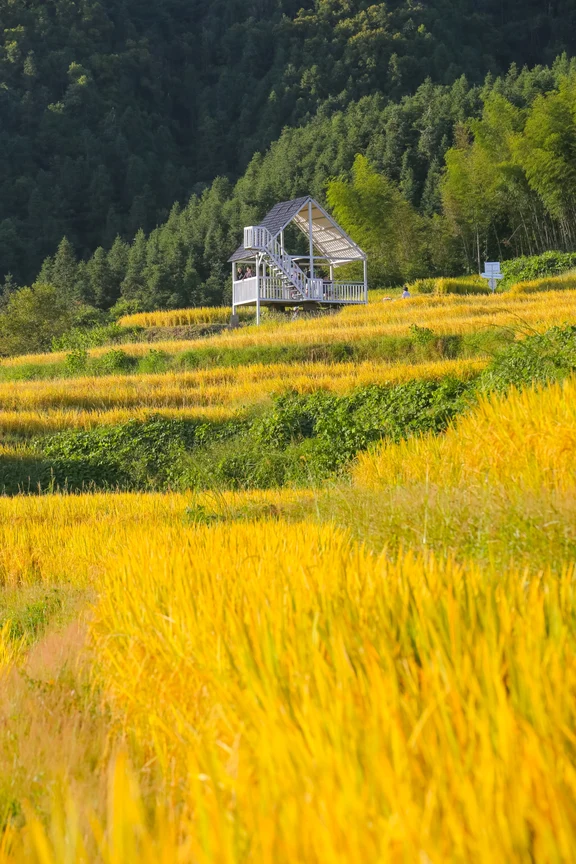 深圳周边秋日出游攻略
