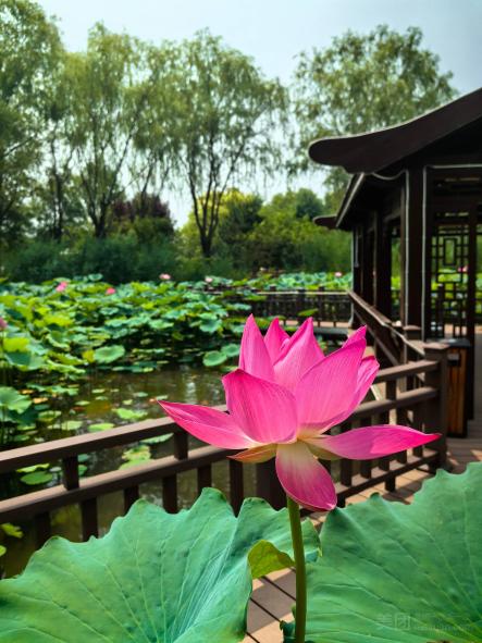 行旅承包你的四季美好时光 | 一站式露营烧烤+采摘团建