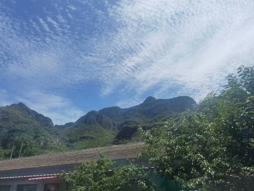 京西秘境|门头沟茶山生态茶园,企业春秋游治愈之旅