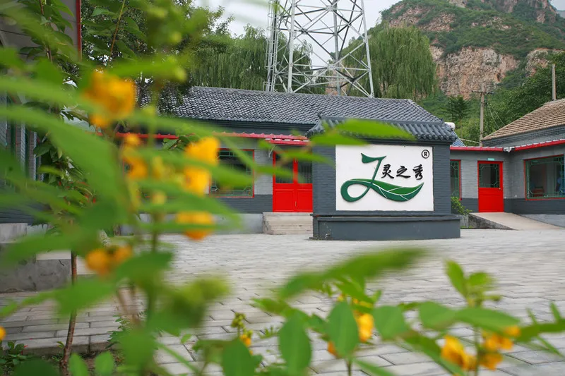 京西秘境|门头沟茶山生态茶园,企业春秋游治愈之旅