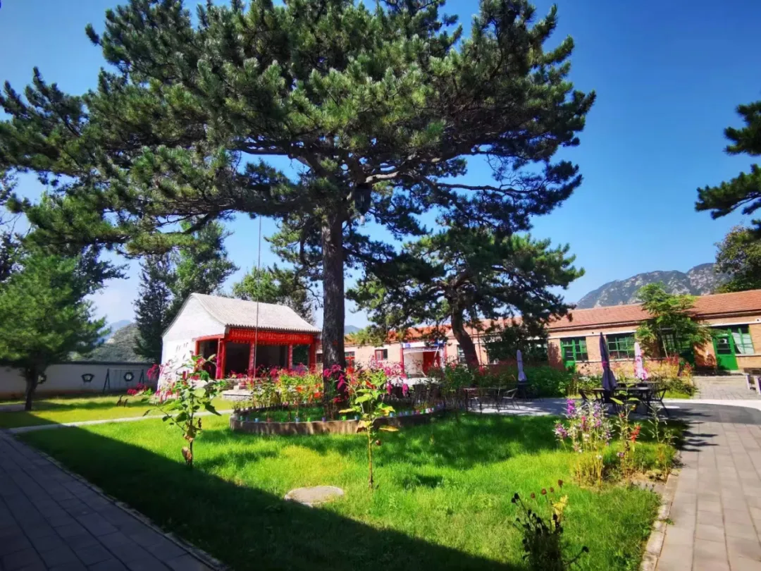 京西秘境|门头沟茶山生态茶园,企业春秋游治愈之旅