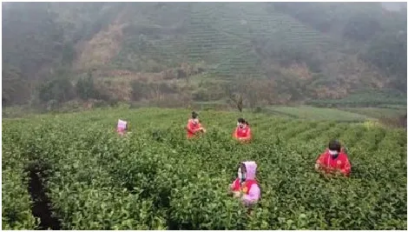 行旅科技研学方案上线 ：让研学不止于 “游 ” ，更在于 “学 ”