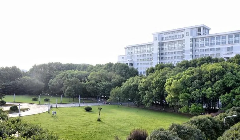 积极探索 步步为营,行旅国际逐步构建“1+N” 模式的SaaS综合服务平台