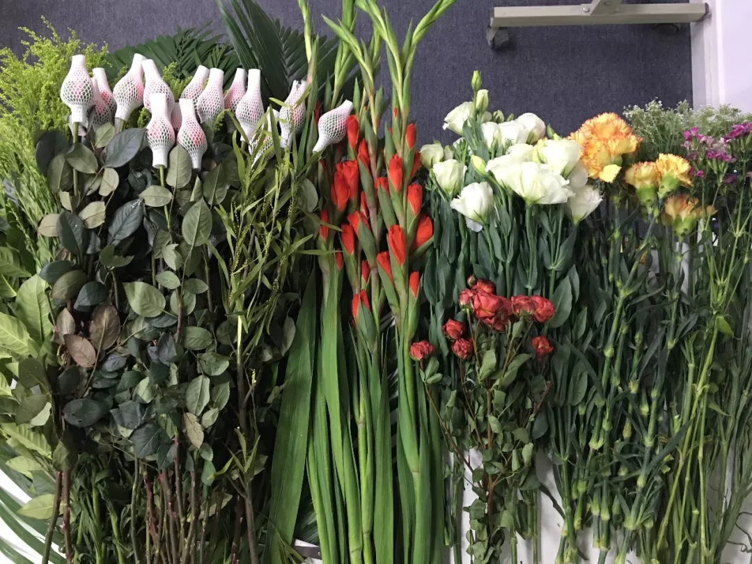 生活,不止一面 丨 行旅小仙女们的女神节